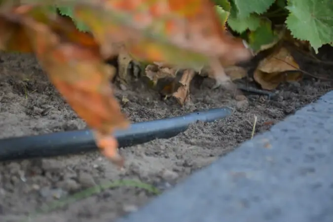 Druppelslang-waterwel-tuinberegeningen