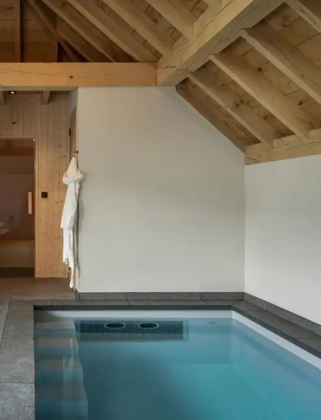 Impressie van een binnenverblijf met een plunge pool, voorzien van een tegenstroom installatie.