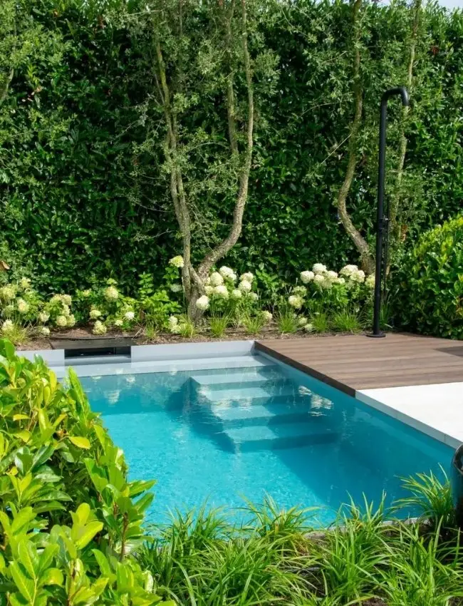 Impressie van een plunge pool in een groene tuin met terras. De plunge pool heeft een trap. Ernaast zien we een buitendouche.